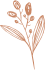 Rose Icon 01