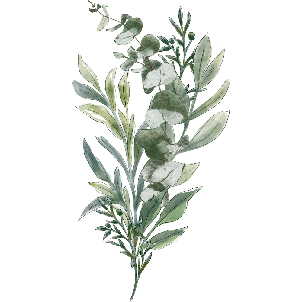 Laurel